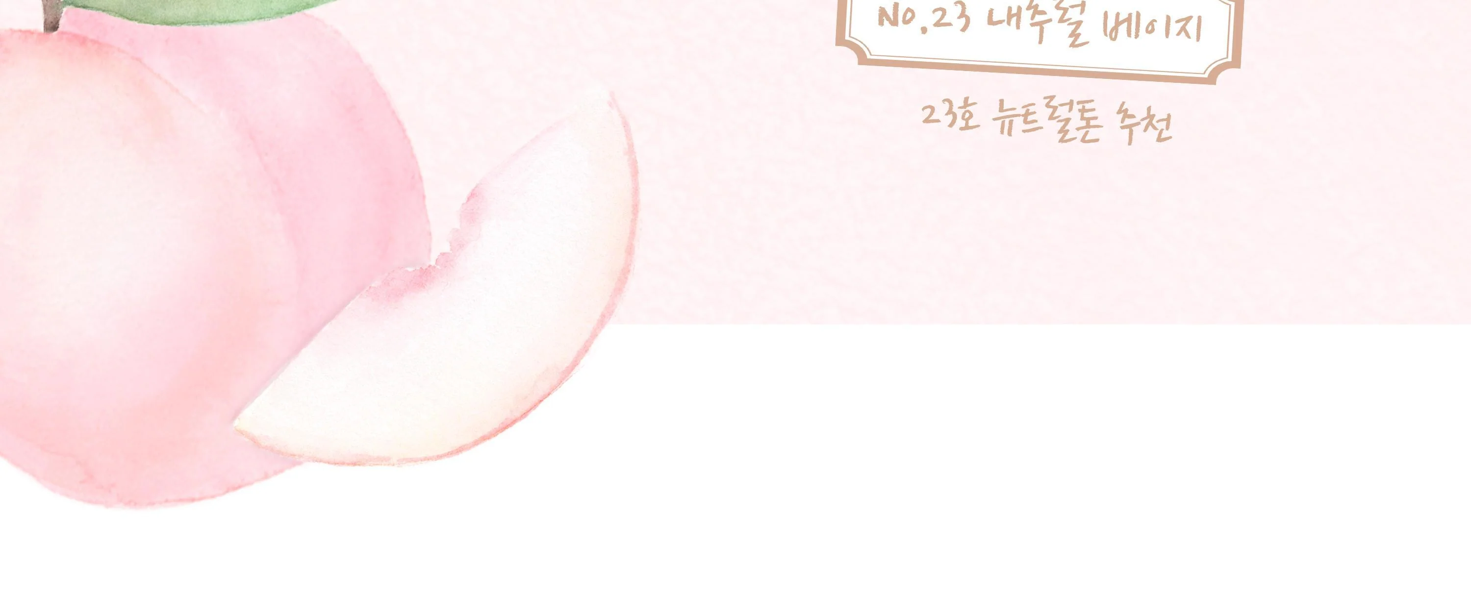 Thumbnail 41