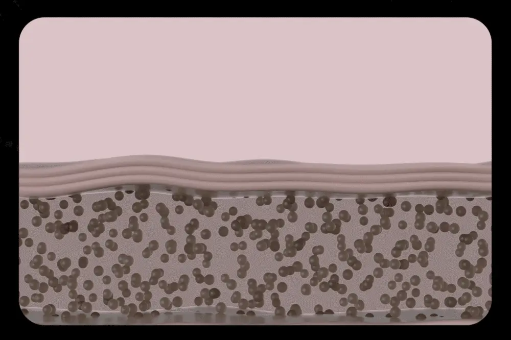Thumbnail 26