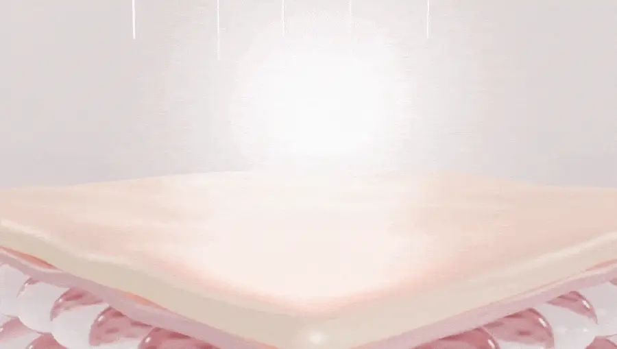 Thumbnail 36