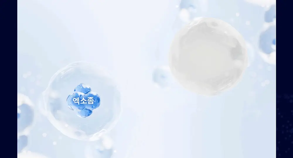 Thumbnail 17