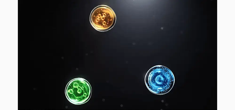 Thumbnail 29