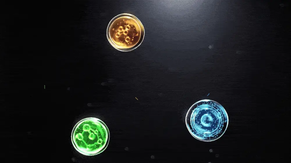 Thumbnail 46