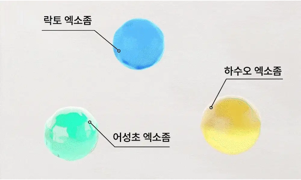 Thumbnail 29